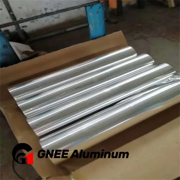 Airline Food Container